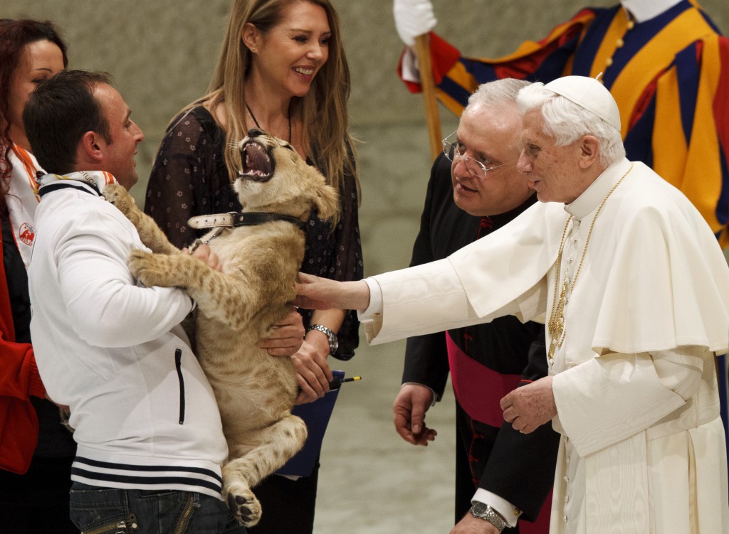 Pope Benedict XVI pets a lion cub during an audience with circus performers and music bands in Paul VI hall at the Vatican on December 1. The performers set up in St Peter’s Square late last week at the invitation of the Pontifical Council for the Pastoral Care of Migrants and Itinerant People. 