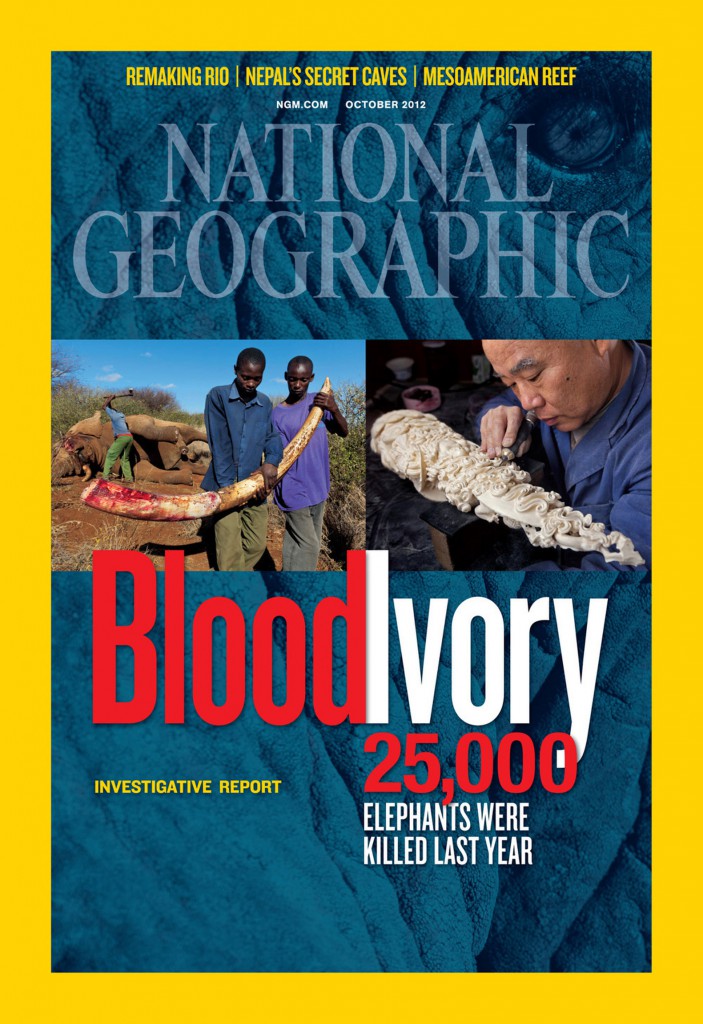 This is the cover of the October 2012 issue of National Geographic, which featured an article titled "Ivory Worship" about how the use of objects made of ivory in the devotions of many religions, not just Catholicism, are contributing to the slaughter of elephants in Africa. PHOTO: CNS/National Geographic