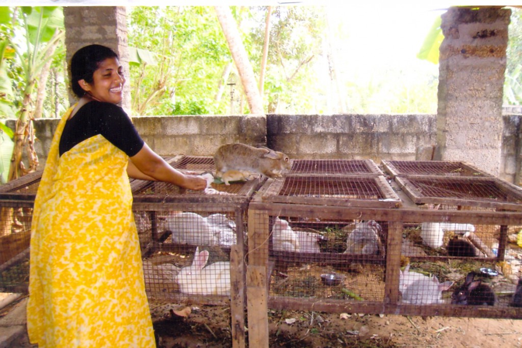 Courtesy of Perth teachers organised by Morley parishioner Maggie Box, this Sri Lankan woman can earn income by breeding rabbits. PHOTO: Maggie Box