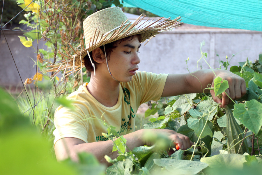 Youths, like Vannak, who participate in the home gardening activities are able to harvest vegetables for their family consumption and share equally in earnings from sold produce. PHOTO: Philong Sovan