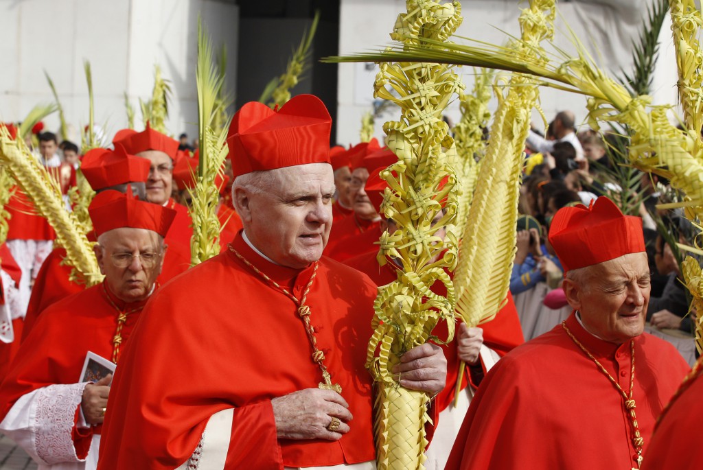 U.S. Cardinal Edwin F. O'Brien, grand master of the Equestrian Order of the Holy Sepulchre of Jerusalem, center, carries woven palm fronds as he arrives in procession for Palm Sunday Mass in St. Peter's Square on  March 24 at the Vatican. PHOTO: CNS/Paul Haring