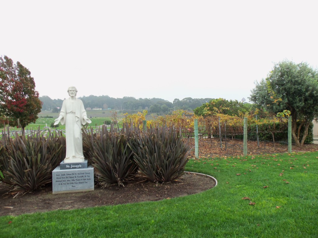 A decision several years ago to plant vineyards to beautify vacant cemetery land and produce wine for Mass has proven to be a win-win for the diocese of Oakland, in California, and its parishes and schools. PHOTO: Supplied