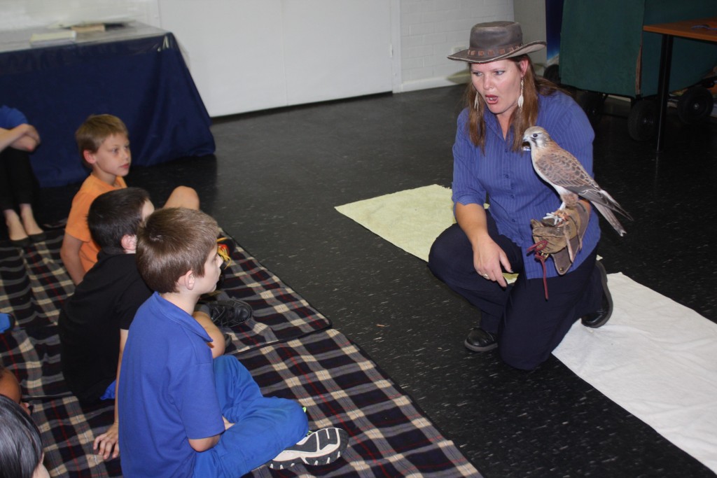 Yvonne from the Birds of Prey Centre shows the children the wild birds. PHOTO: St Vincent De Paul Society