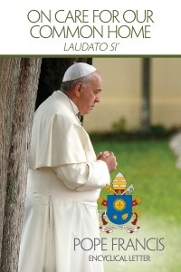 This is the cover of the English edition of Pope Francis' encyclical on the environment, Laudato Si', on Care for Our Common Home. The long-anticipated encyclical was released at the Vatican on 18 June. PHOTO: US Conference of Catholic Bishops.