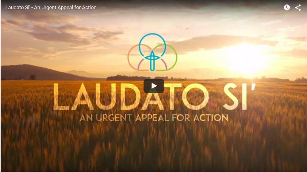 Catholic Earthcare Australia has this week celebrated the first World Day of Prayer for the Care of Creation on 1 September by releasing a short video entitled Laudato Si’ – An urgent appeal for action. PHOTO: Supplied