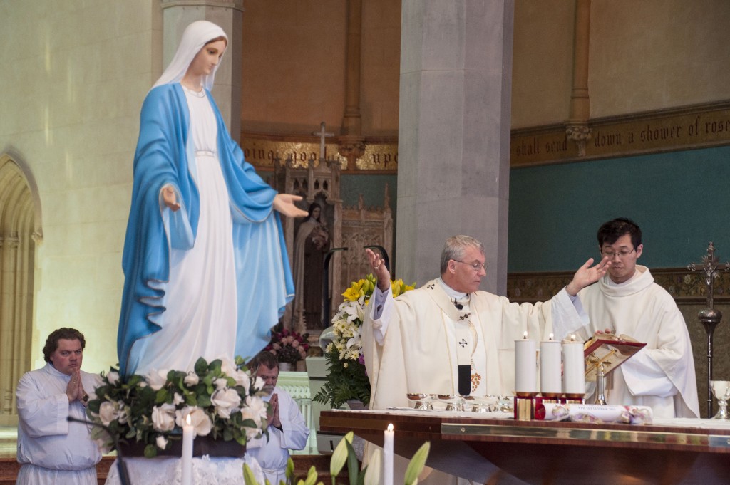 The Virgin Mary’s profound ability to encourage us to follow Christ was the focus of Archbishop Timothy Costelloe’s homily at this week’s Mass for the Nativity of Our Lady. PHOTO: Mat De Sousa