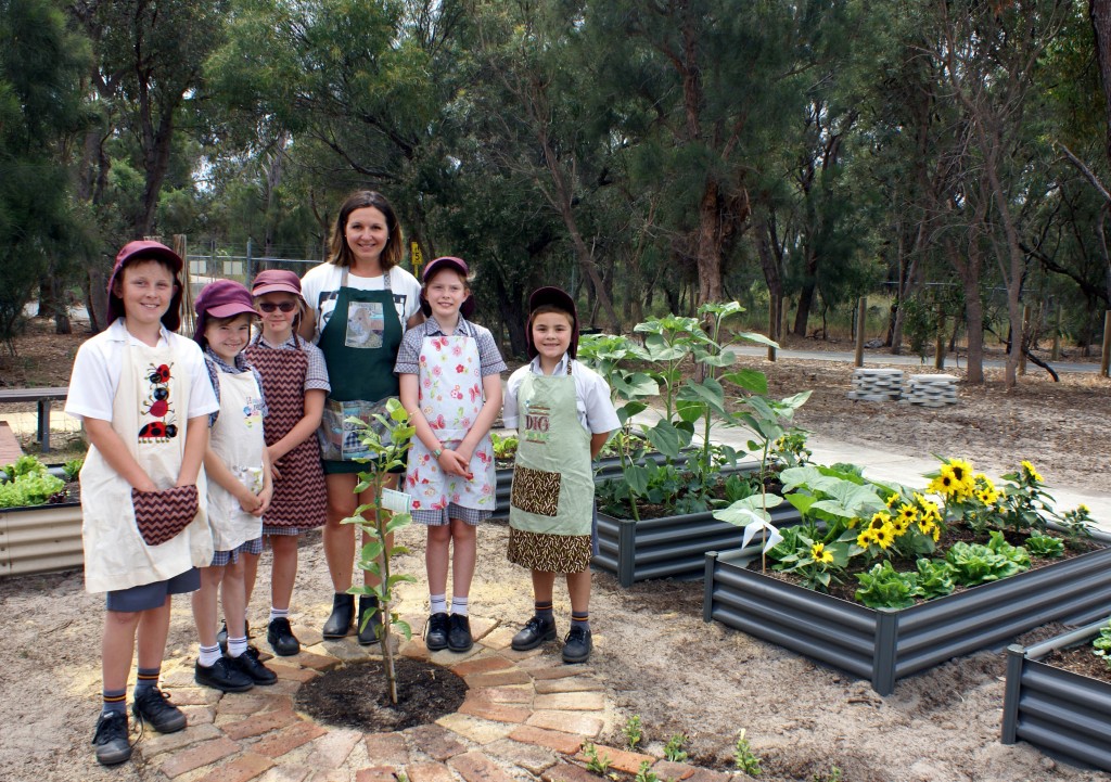 Parents, students and staff have worked together to establish a thriving vegetable garden at Mandurah Catholic College. Photo: Supplied.