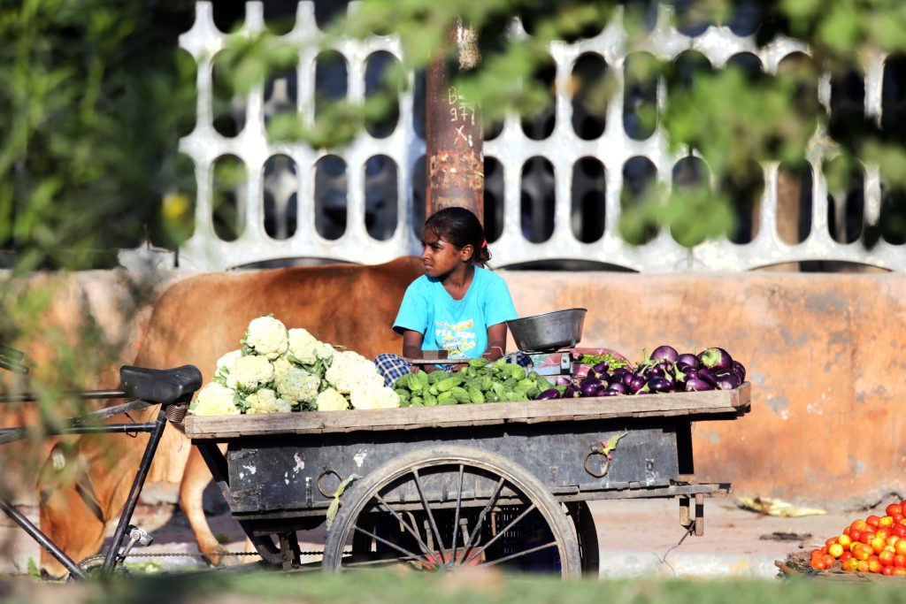 An Indian girl sells vegetables in Amritsar, India, on 3 August 2016. In a letter to bishops commemorating the feast of the Holy Innocents on 28 December 2016, Pope Francis said children must be protected from exploitation, slaughter and abuse, which includes committing to a policy of "zero tolerance" of sexual abuse by clergy. Photo:CNS/Raminder Pal Singh, EPA