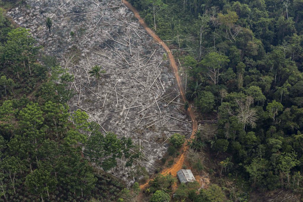 This is an aerial view of a deforested plot of the Amazon at the Bom Futuro National Forest in Porto Velho, Brazil on 3 September 2015. In a message sent in early July to participants of an Italian conference on the consequences of deforestation in the Amazon, Pope Francis said the current situation in the South American rainforest "is a sad paradigm of what is happening in many parts of the planet". Photo: Nacho Doce/Reuters.